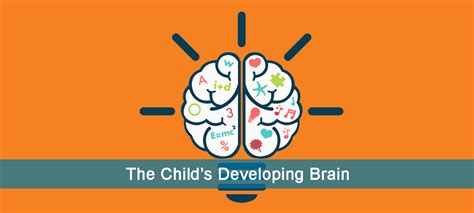 Understanding The Child's Developing Brain | Early Childhood