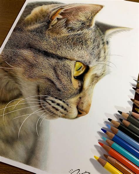 Feline Faces Get a Close-Up in Amazing Hyperrealistic Drawings