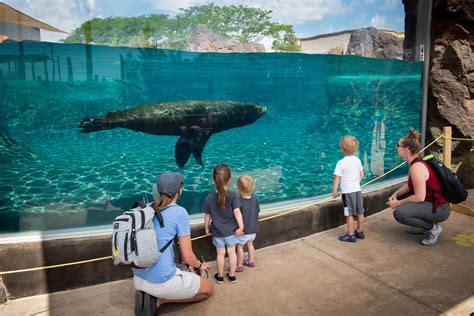 Columbus Zoo and Aquarium - Cincinnati Family Magazine