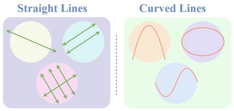 Types of Lines | Definition and Examples