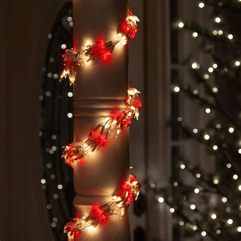 Garland Lights - 18' Garland Lights, 600 Red/Clear Lights, White Wire