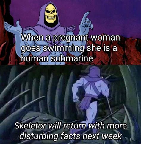 Skeletor Facts | Know Your Meme