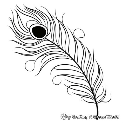 Peacock Feather Coloring Pages - Free & Printable!