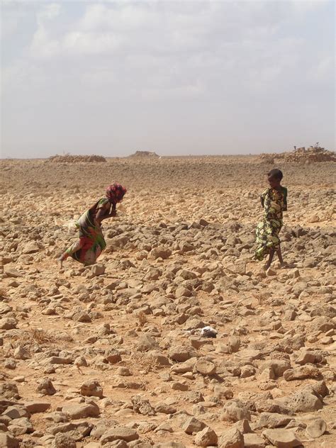 Drought in Africa - Current topics - About Us - Home