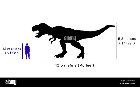 T Rex Human Size Comparison