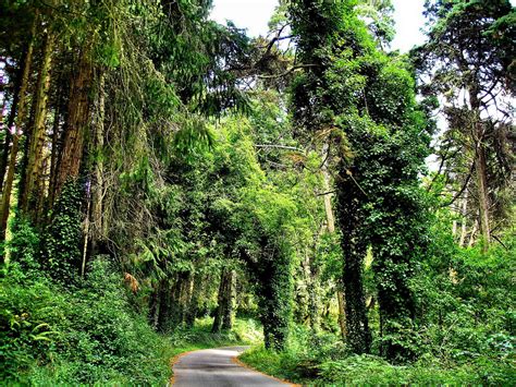 The National Park Sintra Cascais Self-Guided - Portugal Bike Tours