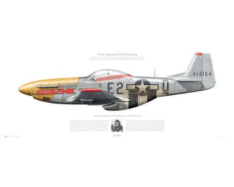 Aircraft profile print of P-51D Mustang "Detroit Miss" - 44-14164 / E2-D, 361st FG, 373rd FS ...