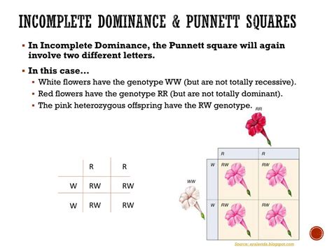 Codominance Examples Punnett Square