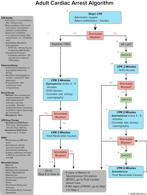 ACLS Algorithms Review: Adult Cardiac Arrest Algorithm