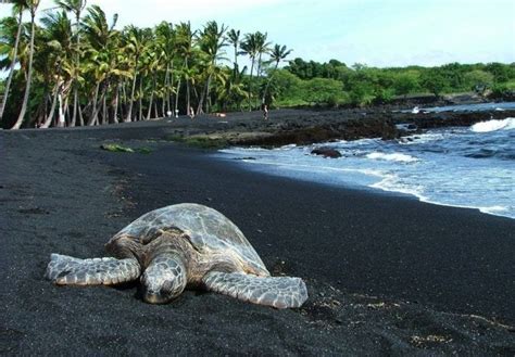 Punaluu, a black sand beach in Hawaii | by Muhammad Sahabuddin | Medium