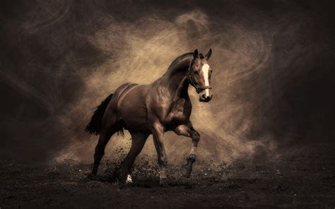 Horse Wallpapers - Wallpaper Cave