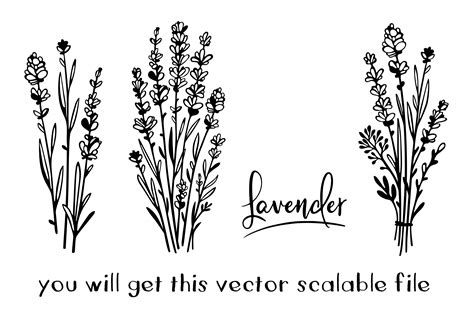 Lavender wildflowers bouquets SVG botanical floral stencil | Etsy