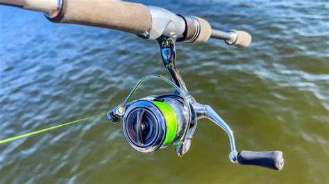 Best Spinning Reels for Fishing - Wired2Fish