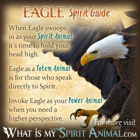 Eagle Symbolism & Meaning | Spirit, Totem & Power Animal