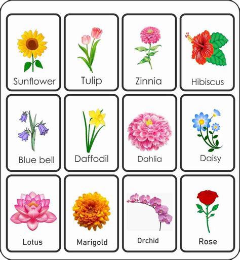 Spring Flowers Names, Flowers Names And Pictures, Flower Names, Winter Flowers, Printable Flower ...