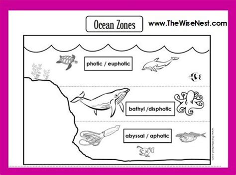 Ocean Zones to Label and Color - The Wise Nest