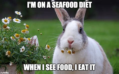 funny-rabbit-memes-seafood-diet - Hop to Pop