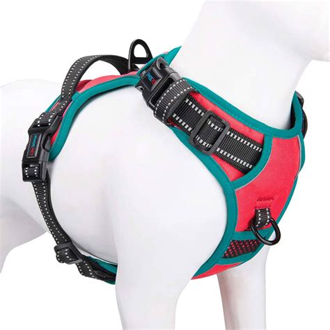 The 7 Best No Pull Dog Harnesses Australia: Tested & Evaluated - gentledogtrainers.com.au