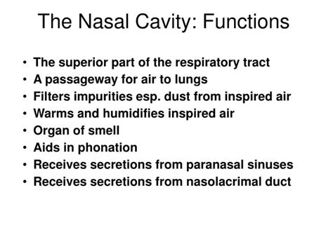 PPT - The Nasal Cavity: Functions PowerPoint Presentation, free download - ID:6024424