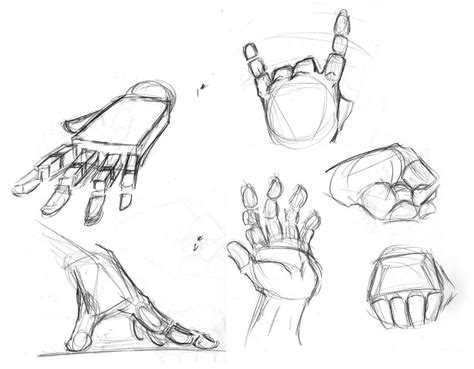 Hands | How to draw hands, Human anatomy drawing, Anatomy drawing