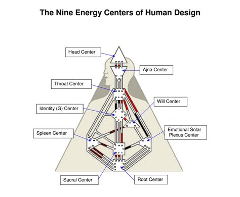 Human design chart explained - ropotqskin