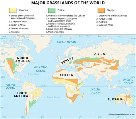 Tropical Grassland Biome Map