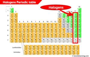 Halogens Periodic Table (With Images)