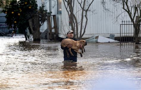 Pets Drown in Flash Flood at Doggy Day Care in 'Unbearable' Tragedy