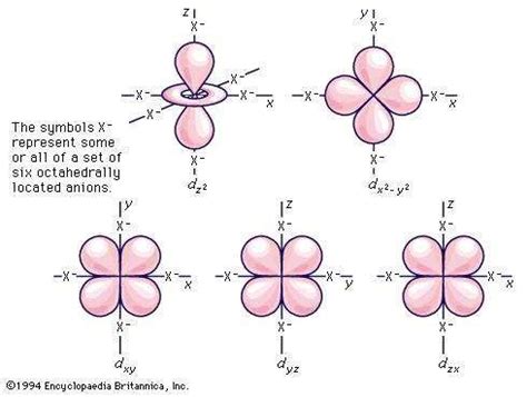 D-orbital | physics | Britannica.com