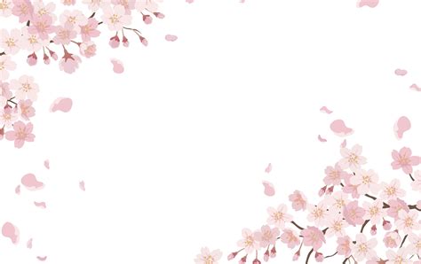 Cherry Blossom Frame Vector Art, Icons, and Graphics for Free Download