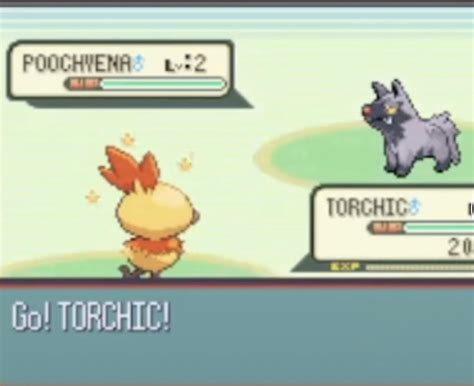 [Gen3] Got my first ever Gen3 shiny! I cant wait to hunt for the other 2 starters (3,450 ...