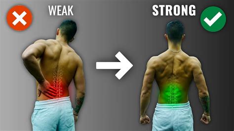 How To Get A Strong Lower Back The RIGHT Way (4 Must Do Exercises) - YouTube