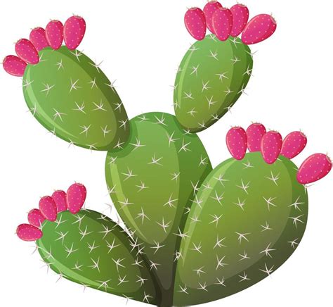 Prickly cactus in cartoon style isolated on white background 2775809 Vector Art at Vecteezy