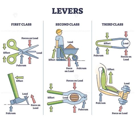 Levers classification as physics force and effort explanation outline diagram - VectorMine