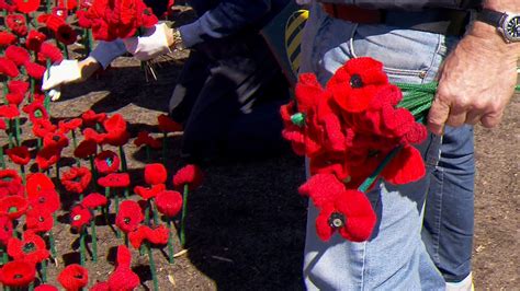 Remembrance Day: World War One soldiers in Perth remembered with hand-knitted poppies