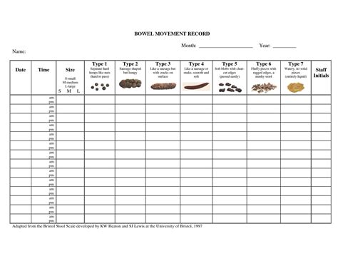 Bowel Movement Chart