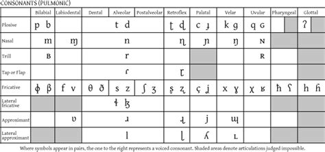 International Phonetic Alphabet - Academic Kids