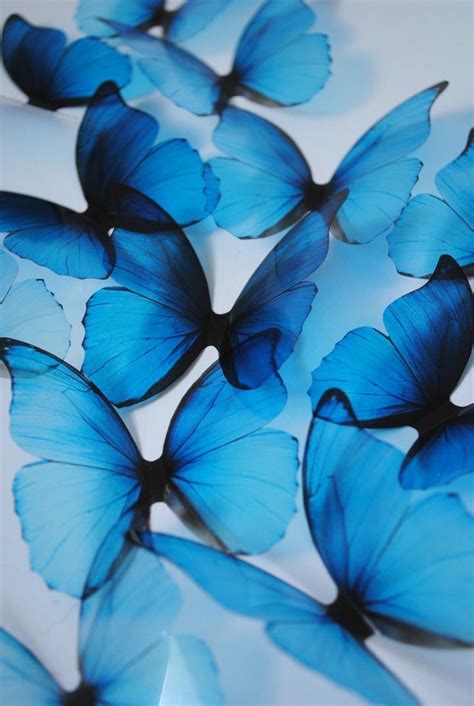 Pin by Mari on Bedroom ideas with Aesthetic photos | Blue butterfly wallpaper, Blue wallpaper ...