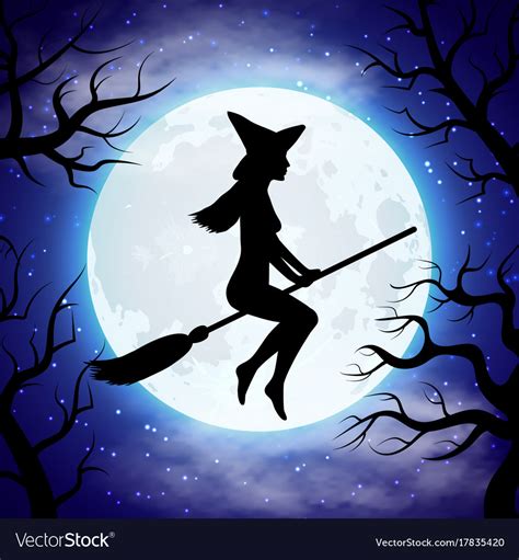 Silhouette of witch flying on the broom in Vector Image