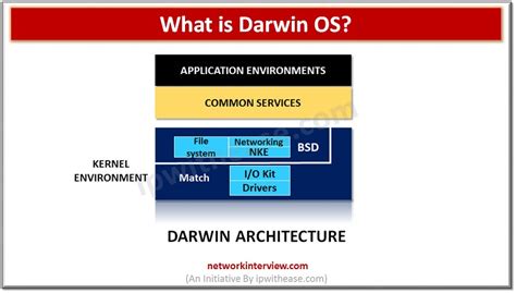 What is Darwin OS? » Network Interview