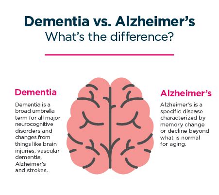 Dementia vs. Alzheimer’s: What’s the difference? | Shine365