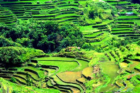 Banaue Rice Terraces – Travel at Philippines