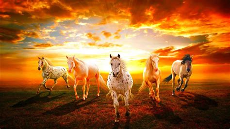 Stunning HD Wallpaper of Majestic Horses at Sunset