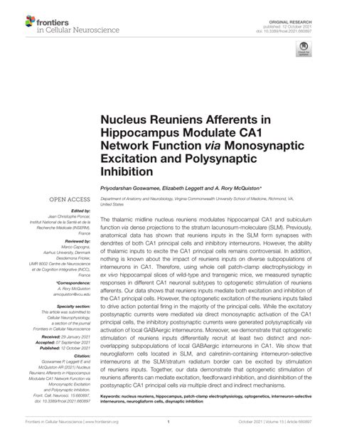 (PDF) Nucleus Reuniens Afferents in Hippocampus Modulate CA1 Network Function via Monosynaptic ...