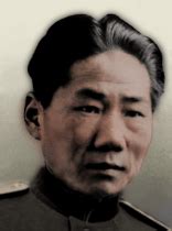 Mao Anying | The New Order: Last Days of Europe Wiki | Fandom