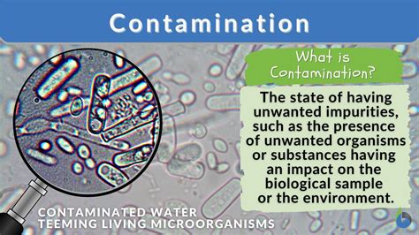 Contamination - Definition and Examples - Biology Online Dictionary