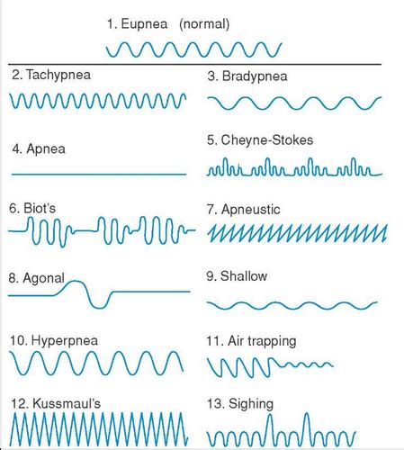 Respiratory Breathing Patterns