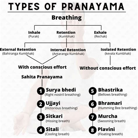 15 Types of Pranayama Breathing Techniques and Benefits [Explained] - eYOGA.shop