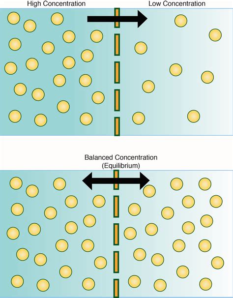 Simple diffusion. Simple Diffusion: Definition & Examples. 2019-01-14