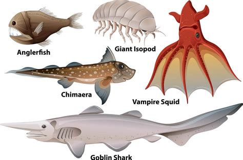 Deepest Living Creatures On Our Ocean: The Mariana Trench Animals - deepseawonders